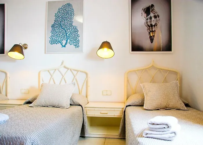 فيلة La Concha بلايا هوندا